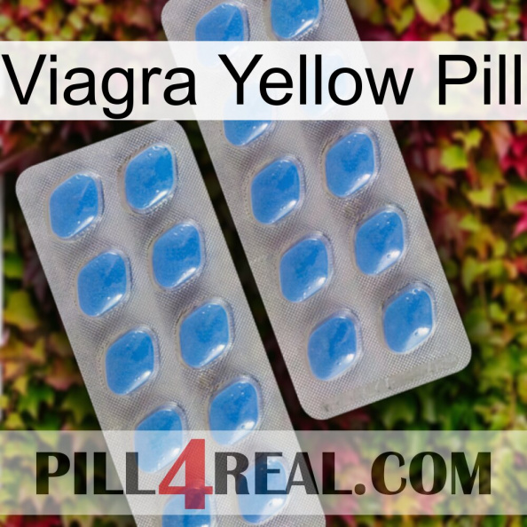 Viagra Yellow Pill 23.jpg